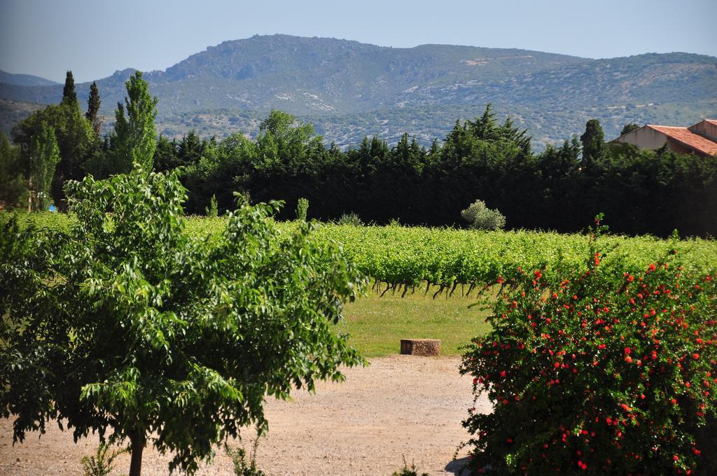 Chateau De Jonquieres - Herault Exteriér fotografie